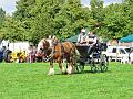 6de Crijtrally + 35ste Crijtfeesten 2012 (294)